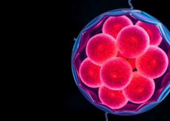 Scientists Roll Human Stem Cells Back to an Eight-Cell Embryo-Like State