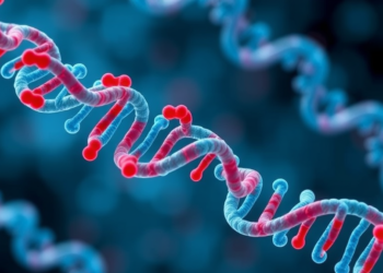 Weight Loss Rewires Cholesterol Metabolism, but Tiny RNAs Are Not the Driver