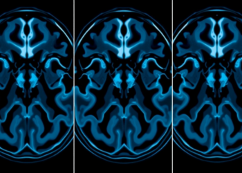 MRI Study Splits Bone Growth Stage Into Three Substages to Sharpen Forensic Age Tests