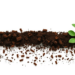 Neonicotinoid Seed Treatments Quietly Reshape Soil Fungal Communities Over Time