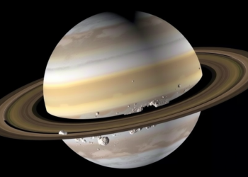 Saturn’s Moon Enceladus Sorts Ocean Clues Into Ready-Made Samples for Life Detection