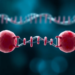 Single Genetic Change May Strike Twice in Rare Anemia Case, Long-Read Study Suggests