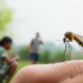 Mosquito Spit Antibodies Put a New Repellent Trial in Myanmar to the Test