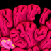 New AI Study Reveals What Actually Matters When Mapping Tissue Architecture