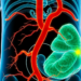 Obesity and the Lymphatic System: A Two-Way Street Reshaping Metabolic Disease Research