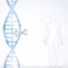 Engineering thinness: epigenetic editing and the ‘war on obesity’