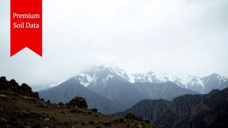 Better Soil Data Sharpen Deadly Himalayan Rainfall Forecasts, Study Finds