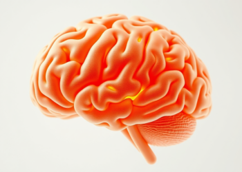 The Aging Brain Rewires Its Resting Rhythms, Landmark MEG Study of 617 Adults Reveals