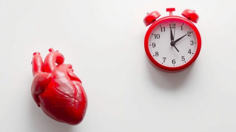 Exercise Rejuvenates Aging Hearts and Clocks Through a Single Muscle Gene