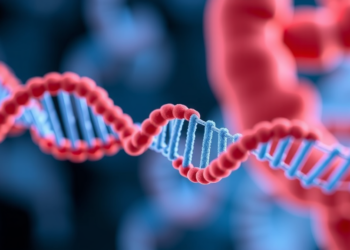 Three Hidden RNA Molecules Revealed as New Clues in Colorectal Cancer Detection and Treatment
