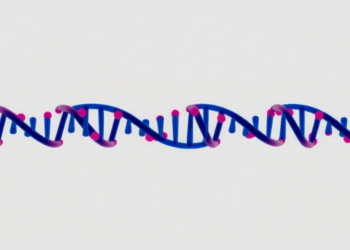 New Database Reveals Hidden RNA Editing in Cancer’s Tiny Messengers