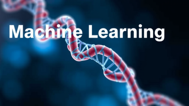 Machine Learning Hunt Pinpoints Gene Linked to a Heart Drug’s Lung Damage