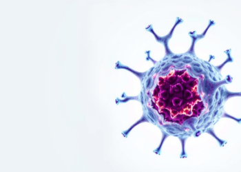 KIF11 Inhibition Rewires Prostate Cancer Cell Identity to Restore Sensitivity to Antiandrogen Drugs