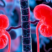 Ribosomal Protein RPL28 Emerges as a Driver and Prognostic Marker in Kidney Cancer