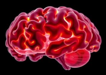 Rare Brain Germ Cell Tumors in Adults Often Masquerade as Pituitary Inflammation, Study Finds