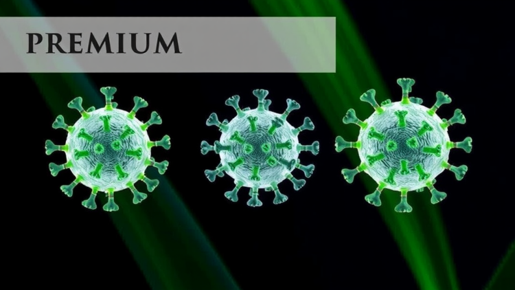 CRISPR-Cas13 Test Spots Three Quarantine Sugarcane Viruses Without Amplification