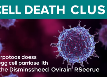 Cell Death Clue: Ferroptosis Linked to Egg Cell Damage in Diminished Ovarian Reserve
