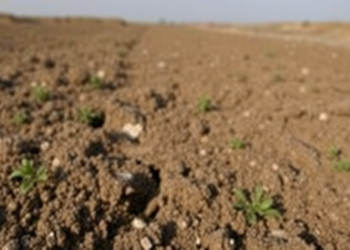 Land Use Leaves Its Fingerprint in Iran’s Metal-Polluted Soils, Major Review Finds