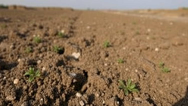 Land Use Leaves Its Fingerprint in Iran’s Metal-Polluted Soils, Major Review Finds
