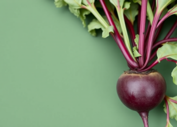 Wild Beet Genome Study Reveals the Surprising Single-Species Origin of a Stress-Tolerant Tetraploid