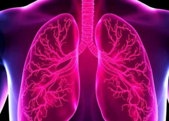 Endothelial Protease ADAM17 Emerges as Central Driver of Lung Injury and Vascular Leakage