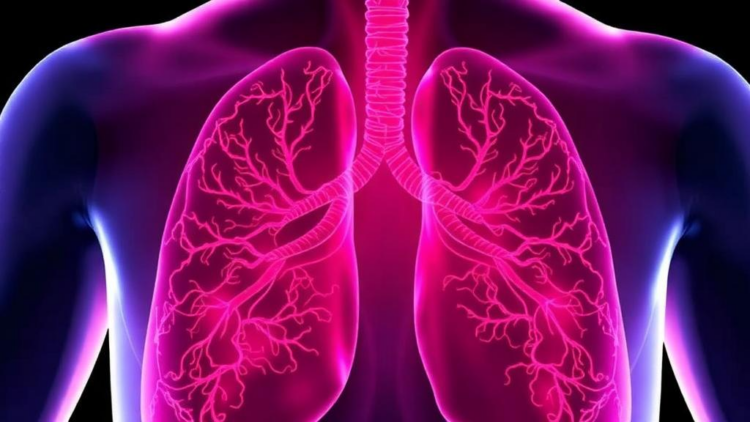 Endothelial Protease ADAM17 Emerges as Central Driver of Lung Injury and Vascular Leakage