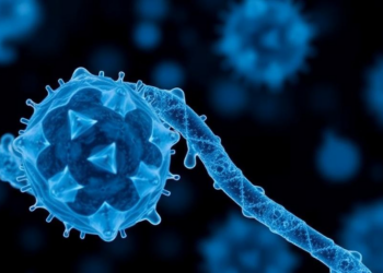 Common Plasticizer Dibutyl Phthalate Damages DNA in Kidney Cells, Study Finds