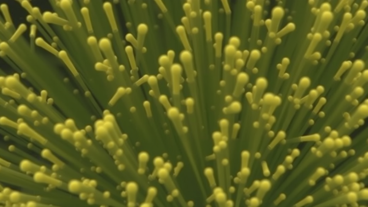 Five-Year Study Uncovers Hidden Rhythms in Lake Microbes