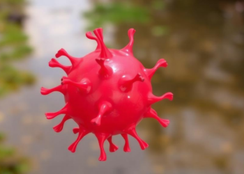 Drug-Resistant Typhoid Strain Found in Johannesburg River, Linked to Human Cases