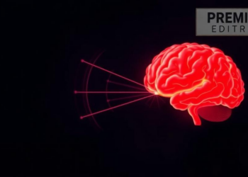 Aging Brains Rewire How Attention Shapes Sound-and-Sight Perception