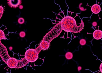 Gene Network Rewiring Reveals Hidden Drug Response Clues in Colorectal Cancer Organoids