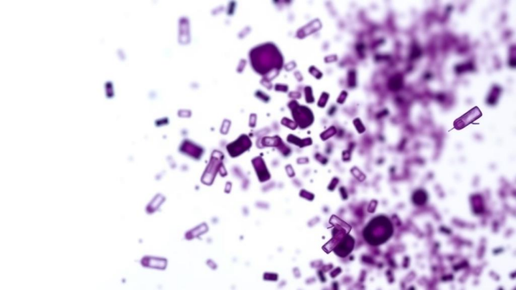 AI Fecal Test Matches Expert Microscopy for Detecting Giardia in Diarrheic Dogs