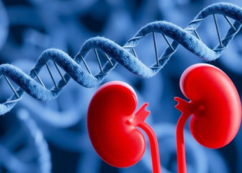 Sri Lankan Genomes Reveal Hidden Culprits Behind Rare Inherited Kidney Disease
