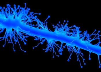 Blue Light Makes Cyanobacteria Stick Together, Study Finds
