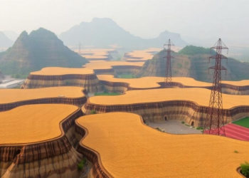 Land Scarcity Could Add $42 Billion to China’s Carbon-Neutral Power Bill