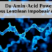 D-Amino-Acid-Powered Enzyme Cascade Maps Biomolecules Across Living Animals