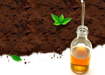 Ancient Indian Fermented Liquid Manure Kunapajala Emerges as Modern Soil Biostimulant