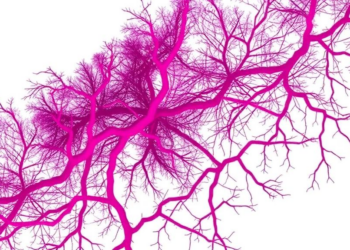 Beyond PIK3CA: Genetic Study Redraws the Map of Childhood Vascular Malformations with Overgrowth