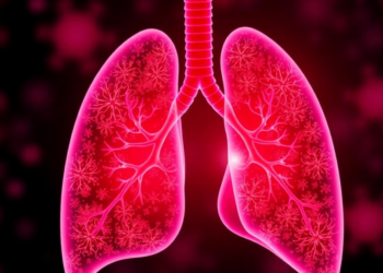 How Lung Cancers Shed Their Identity to Outsmart KRAS Drugs