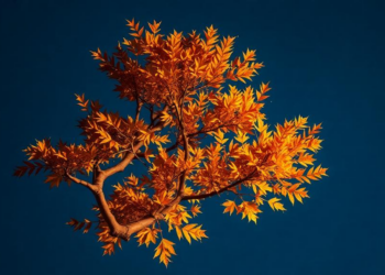 Tiny Satellites Now Track Autumn Leaf Change Tree by Tree