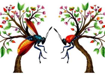 Why Insect Family Trees Clash: GC Content Emerges as the Hidden Driver of Mito-Nuclear Discordance