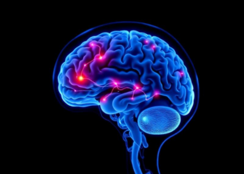 Rare but Treatable: The Brain Diseases Radiologists Cannot Afford to Miss