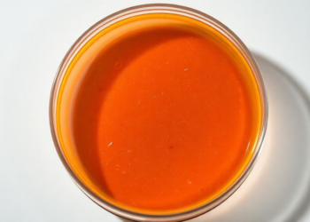 Starvation on a Petri Dish: How Fasting Rewires Cancer Cells and Exposes Their Weaknesses