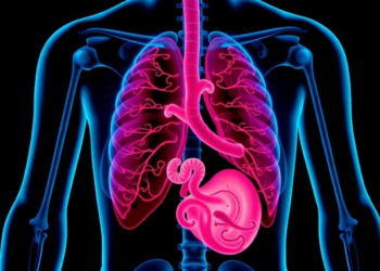 Older Donors, Warmer Organs: How the US Organ Recovery System Is Being Pushed to Its Limits