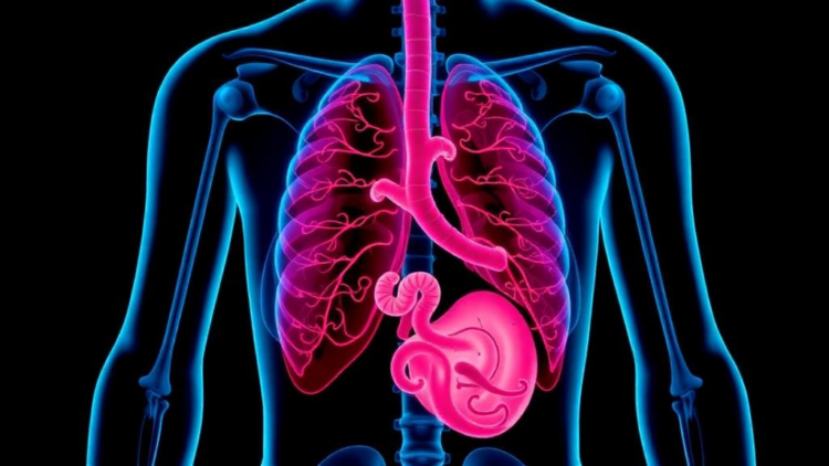 Older Donors, Warmer Organs: How the US Organ Recovery System Is Being Pushed to Its Limits