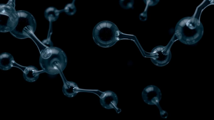 The Plastic Chemical in 90% of Us: How BPA Quietly Rewires Human Hormones
