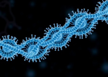 Cell Cycle Breakdown Drives Sudden Bursts of Aneuploidy in Yeast Genomes