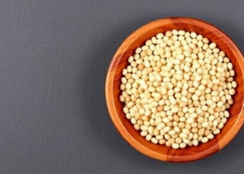 Gut Microbes Hold the Key to Unlocking Soy’s Health Benefits, Review Finds