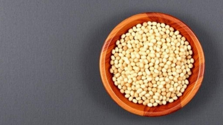 Gut Microbes Hold the Key to Unlocking Soy’s Health Benefits, Review Finds