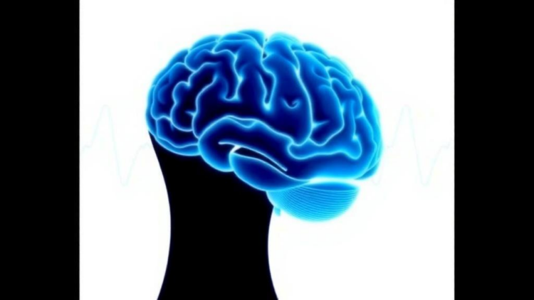 AI Reads Brainwaves to Diagnose Depression, Review of 69 Studies Finds